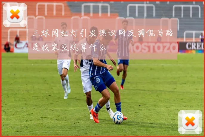 三球闯红灯引发热议网友调侃马路是我家交规算什么