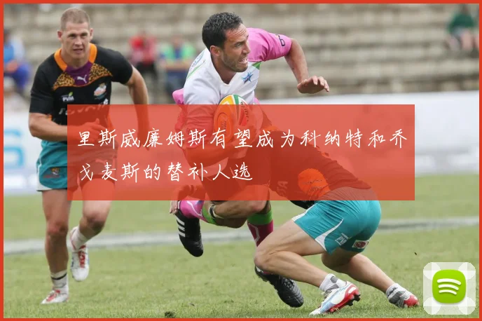 里斯威廉姆斯有望成为科纳特和乔戈麦斯的替补人选